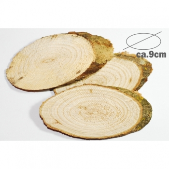  Holzscheiben Baumscheiben Wood disk Ø ca.9cm oval Eiche Birkenscheibe
