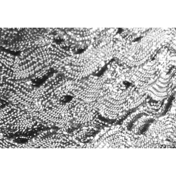 Kaufen Zackenlitze Wellenband 5mm für Schultüten Kissen verschönern dekorieren. Bild 13