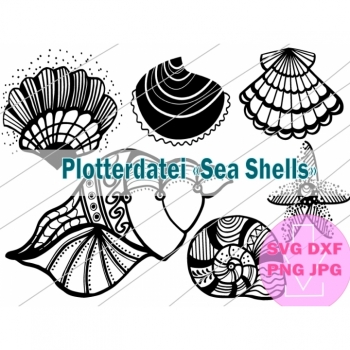 SVG DXF sea shells summer vovation download files