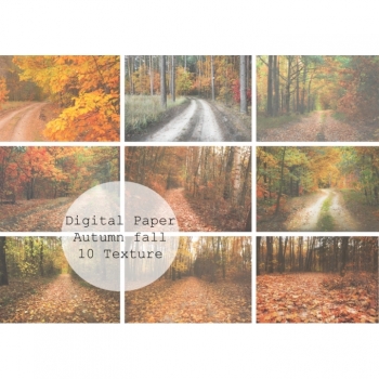 Stock Photo Herbst Set 10 Bilder download