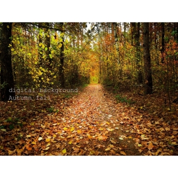 Digitaler Herbstwald Hintergrund – Waldweg, Herbstlaub & natürliche Fotokulisse. Bild 11 Kaufen Digitaler Herbstwald Hintergrund mit Waldwegen, buntem Herbstlaub und Bäumen in warmen Gelb-, Orange-, Rot- und Grüntönen. Bild 11