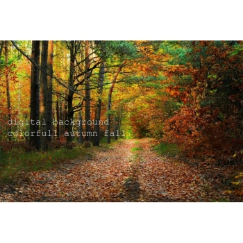 Digitaler Herbstwald Hintergrund – Waldweg, Herbstlaub & natürliche Fotokulisse. Bild 10 Kaufen Digitaler Herbstwald Hintergrund mit Waldwegen, buntem Herbstlaub und Bäumen in warmen Gelb-, Orange-, Rot- und Grüntönen. Bild 10