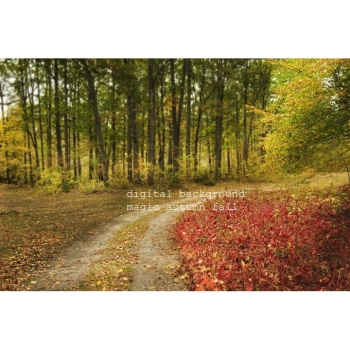 Digitaler Herbstwald Hintergrund – Waldweg, Herbstlaub & natürliche Fotokulisse. Bild 9 Kaufen Digitaler Herbstwald Hintergrund mit Waldwegen, buntem Herbstlaub und Bäumen in warmen Gelb-, Orange-, Rot- und Grüntönen. Bild 9