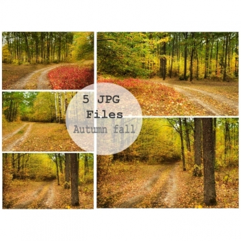 Stock photo Autumn set of 5 digital download images in JPG format