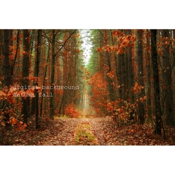 Digitaler Herbstwald Hintergrund – Waldweg, Herbstlaub & natürliche Fotokulisse. Bild 7 Kaufen Digitaler Herbstwald Hintergrund mit Waldwegen, buntem Herbstlaub und Bäumen in warmen Gelb-, Orange-, Rot- und Grüntönen. Bild 7