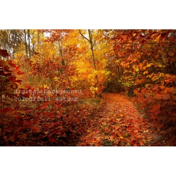 Digitaler Herbstwald Hintergrund – Waldweg, Herbstlaub & natürliche Fotokulisse. Bild 3 Kaufen Digitaler Herbstwald Hintergrund mit Waldwegen, buntem Herbstlaub und Bäumen in warmen Gelb-, Orange-, Rot- und Grüntönen. Bild 3