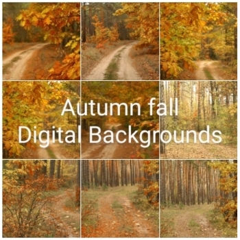Stock photo Autumn set of 8 digital download images in JPG format