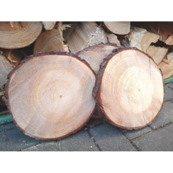 Kaufen Rustikale Holzscheiben Baumscheiben 25cm Rundscheiben. Bild 9